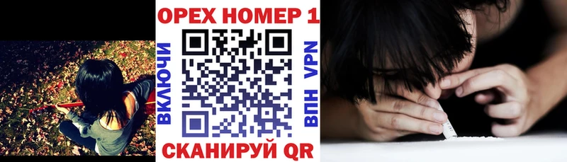 где найти   Бакал  Cocaine 97% 