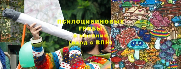 спиды Алексеевка